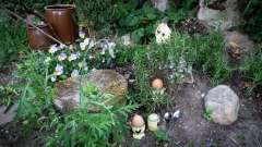 Das Schönste: Frühstückseier im Garten