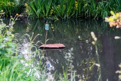 Eiertransport in unserem Teich.